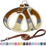 Harnais pour chien anti - traction, harnais r�glable pour chien, laisse pour chien avec poign�e rembourr�e ...