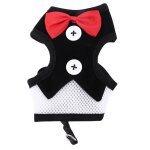 Harnais pour chien, gilet pour animaux de compagnie, ensemble de laisses pour petits et moyens chiens, ...