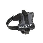 Harnais pour chien - julius - k9 - k9 - powergeschirr - taille mini - couleur anthracite - patchs interchangea ...