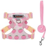 Harnais chien avec laisse, l�ger respirant r�glable anti traction logo r�fl�chissant - motif fraise taille ...