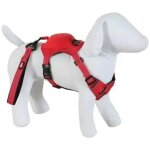 Harnais pour chien et laisse zolux easy ride l mixte rouge