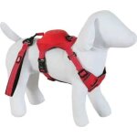Harnais pour chien et laisse zolux easy ride xs mixte rouge