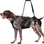 Harnais pour chien skyewalker - harnais de levage rglable avec 2 poignes pour le soutien et la rducation ...