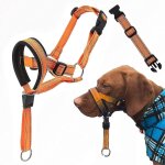 Harnais de dressage r�glable avec sangle de s�curit� et sangle r�fl�chissante, collier anti - traction ...