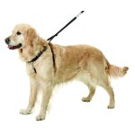 Harnais d'�ducation pour chiens easy walker taille m longueur 31 - 39 cm