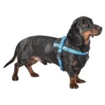 Harnais easy safe bleu l 53 a 69cm x25mm