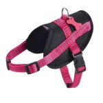 Harnais easy safe fuschia xs 31 a 43 cm