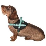 Harnais easy safe lagon xxs 27 a 34 cm x