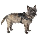 Harnais easy safe noir xxs 27 a 34 cm x