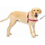 Harnais easy walk avec boucle anti - traction et laisse de 1, 8 m, promenade confortable pour vous et ... Harnais easy walk avec boucle anti - traction et laisse de 1, 8 m, promenade confortable pour vous et ...