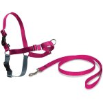 Harnais easy walk avec boucle anti - traction et laisse de 1, 8 mpromenade confortable pour vous et lui ... Harnais easy walk avec boucle anti - traction et laisse de 1, 8 mpromenade confortable pour vous et lui ...