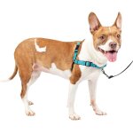 Harnais easy walk deluxe, harnais de marche sans traction pour chiens, design rembourr�, comprend une ...