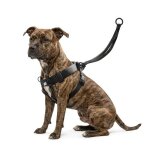 Harnais easy walker promenades confortables et sans traction m