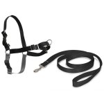 Harnais easywalk pour chien noir - taille s