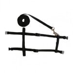 Harnais en forme de lapin d'inde pour animaux de compagnie, colliers d�tachables, souples et l�gers, ...