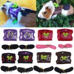 Harnais gilet pour hamster, ensemble de laisses réglables pour cochon d'inde, chinchilla, souris, rat, ... Harnais gilet pour hamster, ensemble de laisses réglables pour cochon d'inde, chinchilla, souris, rat, ...