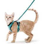 Harnais de gilet r�glables souples a l'�preuve de l'�vasion pour chats, bandes r�fl�chissantes faciles ...