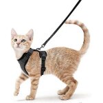 Harnais de gilet r�glables souples a l'�preuve de l'�vasion pour chats, bandes r�fl�chissantes faciles ...