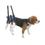 Harnais handi canis m chien