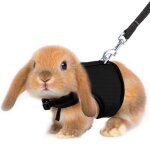 Harnais et laisse pour hamster et lapin, ensemble de 5 couleurs, furet cochon d'inde, pour animal domestique, ... Harnais et laisse pour hamster et lapin, ensemble de 5 couleurs, furet cochon d'inde, pour animal domestique, ...