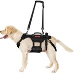 Harnais de levage pour chien, invictus harnais pour chien handicapé sangle réglable, 3 poignées et leggings ... Harnais de levage pour chien, invictus harnais pour chien handicapé sangle réglable, 3 poignées et leggings ...