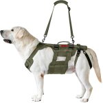 Harnais de levage pour chien, invictus harnais pour chien handicapé sangle réglable, 3 poignées et leggings ... Harnais de levage pour chien, invictus harnais pour chien handicapé sangle réglable, 3 poignées et leggings ...