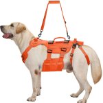 Harnais de levage pour chien, invictus harnais pour chien handicapé sangle réglable, 3 poignées et leggings ... Harnais de levage pour chien, invictus harnais pour chien handicapé sangle réglable, 3 poignées et leggings ...
