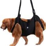 Harnais de levage transport pour chien, harnais de rducation pour animaux de compagnie sangles de levage ...