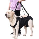 Harnais de levage / transport pour chien, support et rééducation pour animaux de compagnie, harnais de ... Harnais de levage / transport pour chien, support et rééducation pour animaux de compagnie, harnais de ...