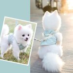 Harnais en nylon pour chien, gilet doux et respirant, pour petit et moyen gabarit, collier pour chat, ...