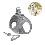 Harnais pour petit chien, harnais pour chiot, harnais souple et laisse avec collier réfléchissant - xs ... Harnais pour petit chien, harnais pour chiot, harnais souple et laisse avec collier réfléchissant - xs ...