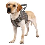 Harnais de poitrine pour animaux de compagnie rouge anti - d�flagrant moyen grand chien gilet - style ...
