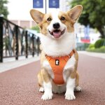 Harnais r�fl�chissant pour chiens, collier r�glable, gilet de marche et de course, respirant, laisse ...