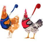 Harnais souple r�glable harnais de poule 2 pi�ces d'�lingue de poulet nouvelle laisse pour animaux de ...