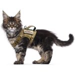 Harnais tactique anti - fugue en maille souple réglable pour la promenade des chats et des petits chiens ... Harnais tactique anti - fugue en maille souple réglable pour la promenade des chats et des petits chiens ...