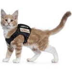 Harnais tactique anti - fugue en maille souple réglable pour la promenade des chats et des petits chiens ... Harnais tactique anti - fugue en maille souple réglable pour la promenade des chats et des petits chiens ...