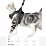 Harnais de traction pour animaux de compagnie, corde de traction pour chiot, chaton, collier rglable, ...