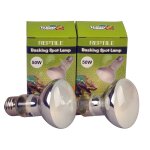 Herp - ampoule chauffante pour spot de reptile, lot de 2, 25w, 50w, 75w, 100w - type 120v 25w