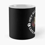 Hey all you cool chats et chatons mug classique