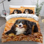 Housse de couette chien de montagne bernois x imprim�� d chien de compagnie parure de lit personnes hypoallerg ...