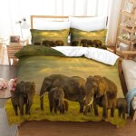 Housse de couette motif imprim�� elephant d , en parure de lit avec housse de couette et taies d'oreiller, ...