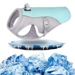 Ice cooling - doudounes respirantes pour animaux de compagnie, glasummer mesh, v�tements d'ext�rieur ...