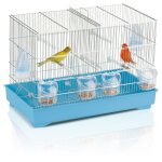 Imac - cage d'�levage cova 55 pour oiseau exotique