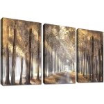 Image murale cadre en bois pour d�coration triptyque 3 pi�ces 40x60 cm for�t ensoleill�e toile hd, cadre ...