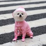 Imperméable imperméable a capuche pour chien, bottes de pluie, chaussures pour petits chiens, veste a ... Imperméable imperméable a capuche pour chien, bottes de pluie, chaussures pour petits chiens, veste a ...