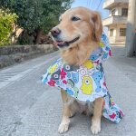 Imperméable a capuche imprimé pour gros chien, manteau de pluie rain550casting, vestes imperméables, ... Imperméable a capuche imprimé pour gros chien, manteau de pluie rain550casting, vestes imperméables, ...