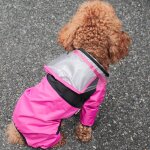 Imperméable transparent a capuche pour chiens et chats, combinaison imperméable, manteau imperméable, ... Imperméable transparent a capuche pour chiens et chats, combinaison imperméable, manteau imperméable, ...