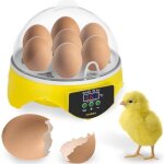 Incubateur automatique a 7 ¿ufs, couveuse a contr�le num�rique de la temp�rature, couveuse pour volaille, ...