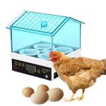 Incubateur a température numérique pour ¿ufs, 4 pièces, mini couveuse a température numérique, ferme ... Incubateur a température numérique pour ¿ufs, 4 pièces, mini couveuse a température numérique, ferme ...