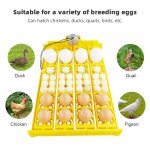 Incubateur d'ufs de caille tournant automatiquement, plateau a ufs, equipement d'incubation de volaille, ...